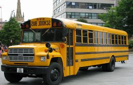 Autobus escolar 03