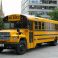 Autobus escolar 03