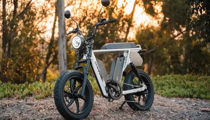 Moto eléctrica 2